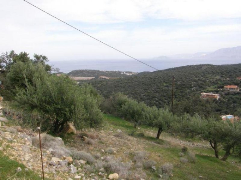 Agios Nikolaos 462 m² Bauland in der Gegend von Mardati mit uneingeschränktem Meerblick Grundstück kaufen